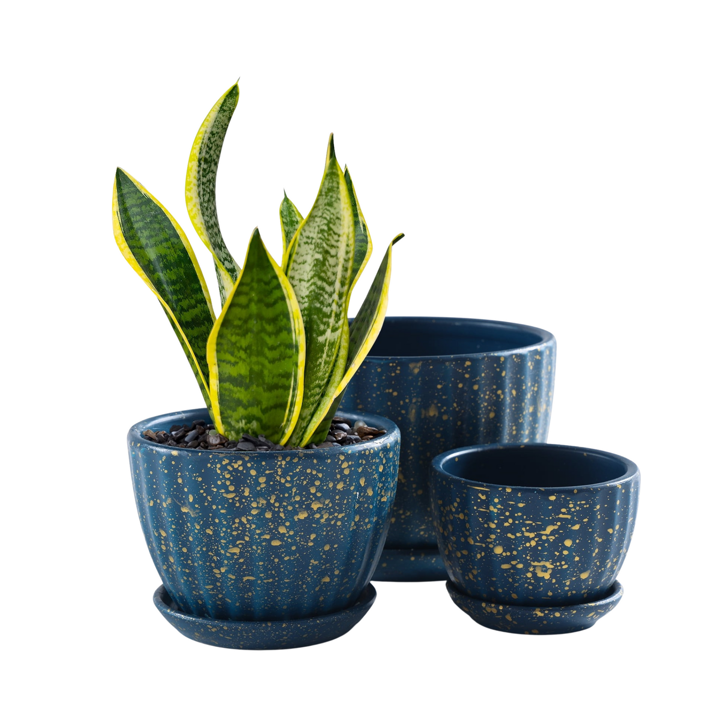 Blue Ceramic Plant Pots with Drainage for Indoor and Outdoor
