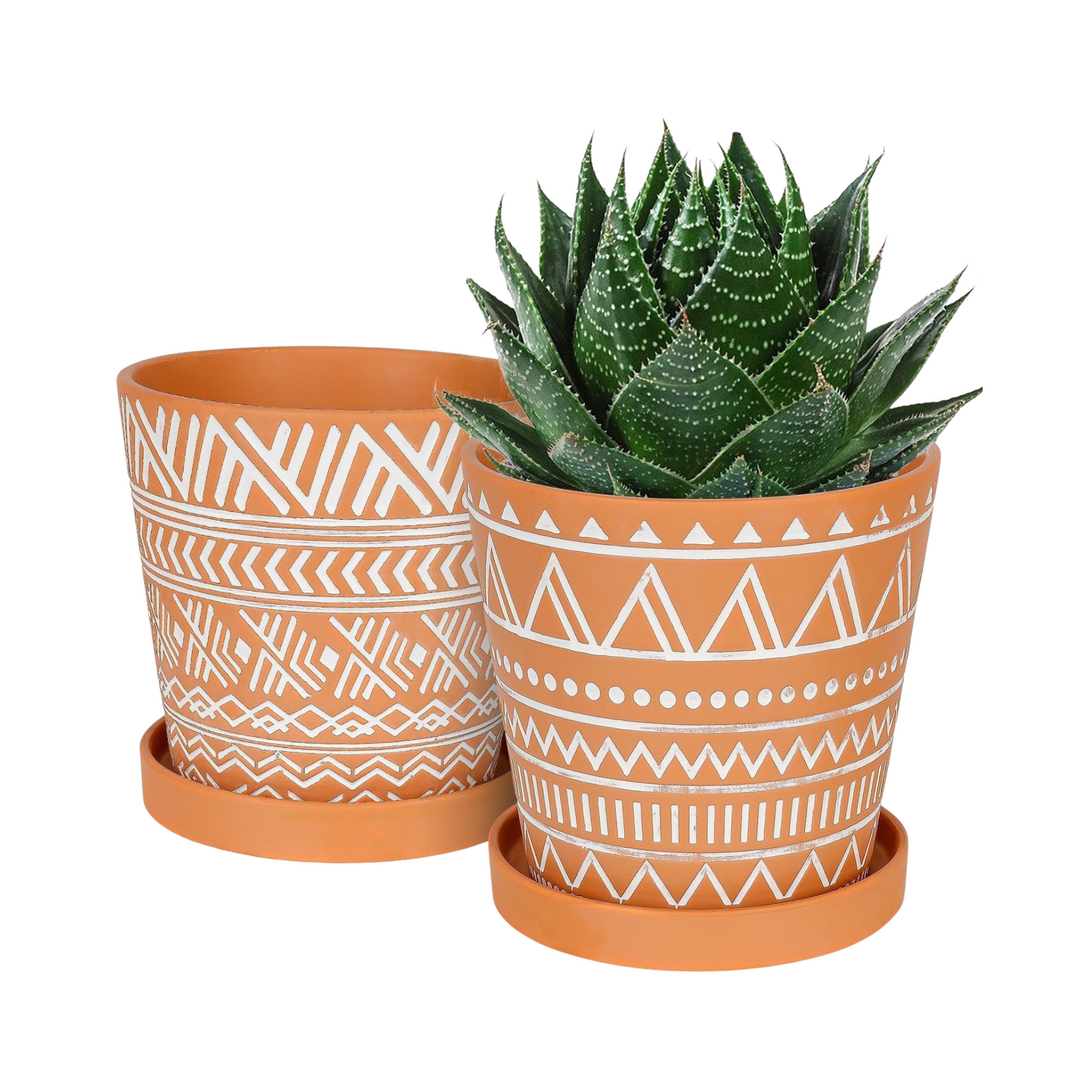 Boho Ceramic Planters with Drainage Saucers for Indoor Plants