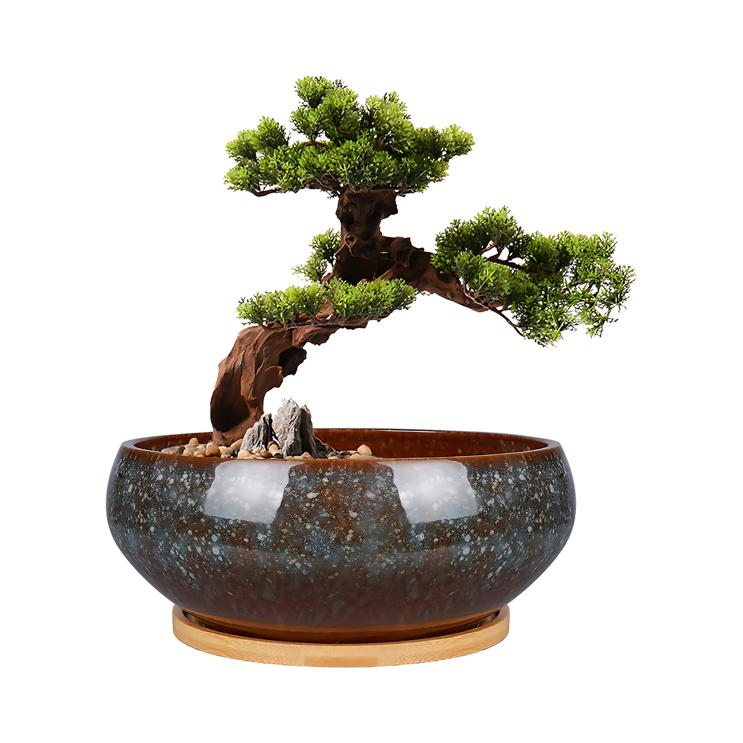 Ceramic Bonsai Planter Pot Glazed Succulent Container with Bamboo Saucer