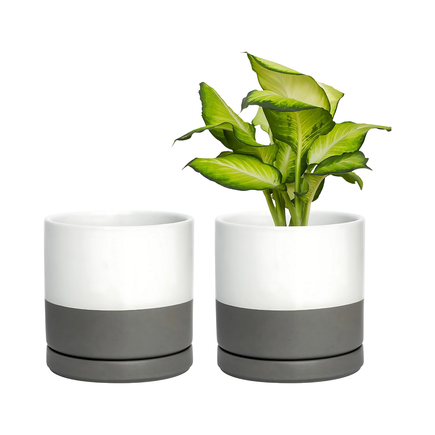 Ceramic Plant Pots Indoor Outdoor Round Planters with Drainage Saucer