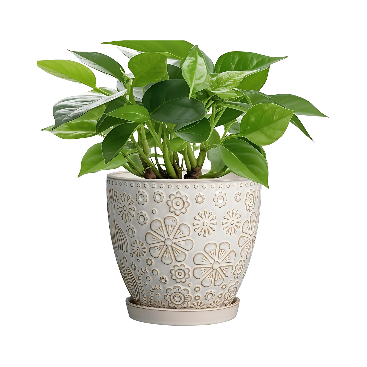 Ceramic Plant Pot with Drainage Hole Indoor Flower Planter