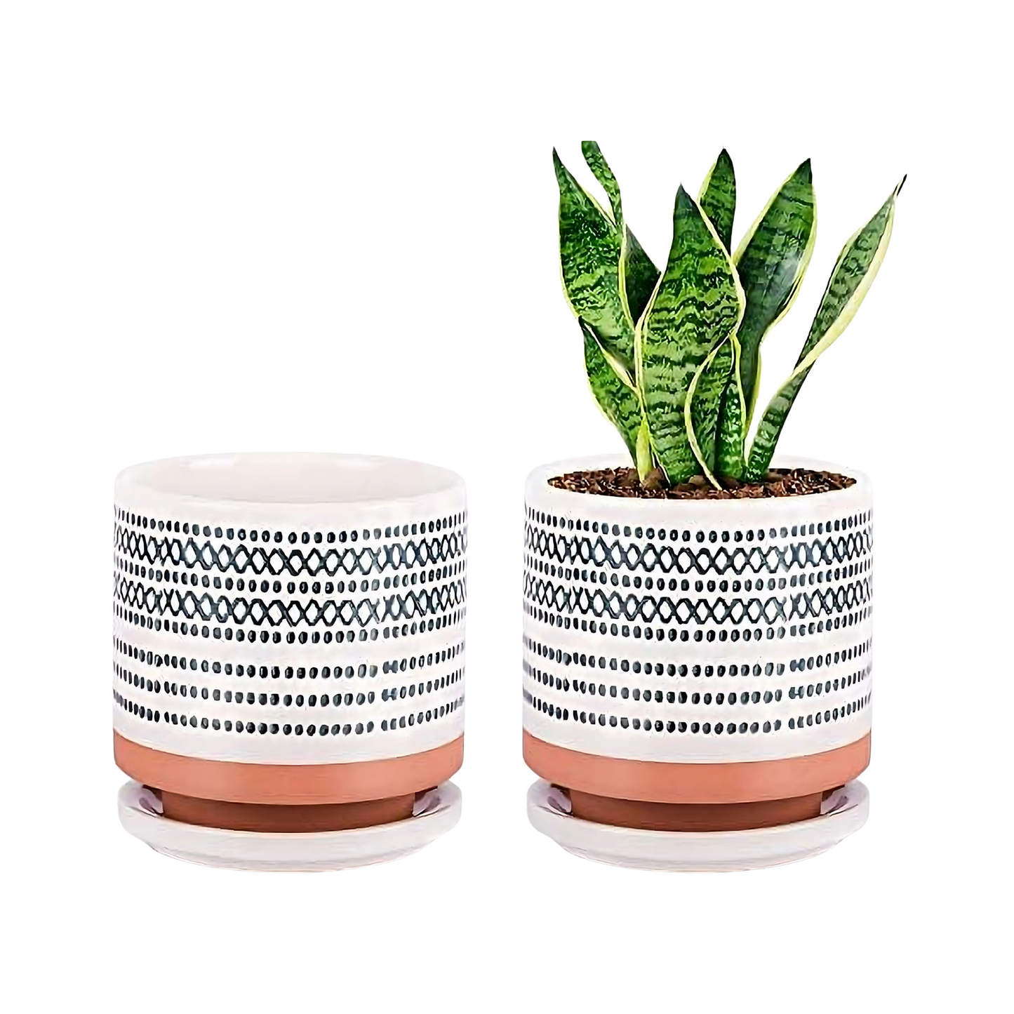 Ceramic Succulent Pots Decorative Planter with Saucer Indoor Outdoor Plants