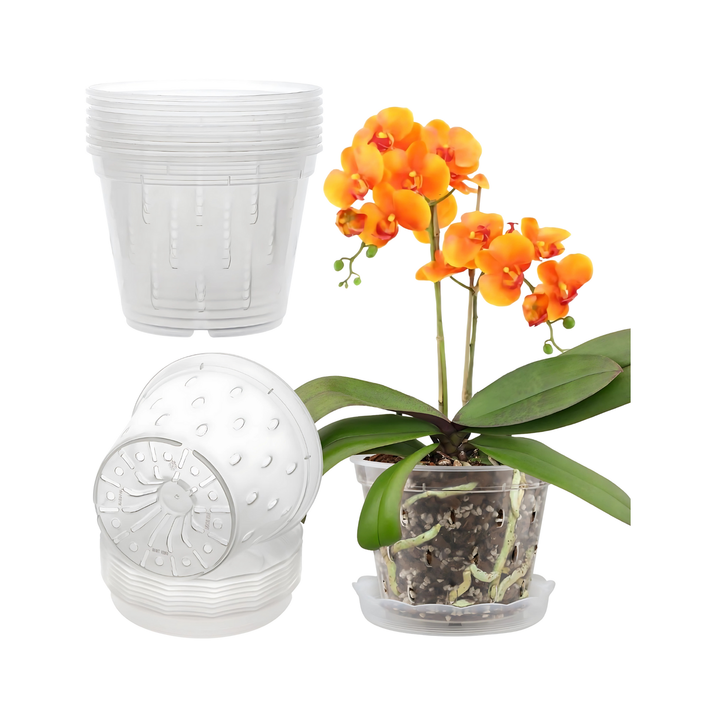 Clear Plastic Orchid Pots with Drainage Holes for Repotting Plants