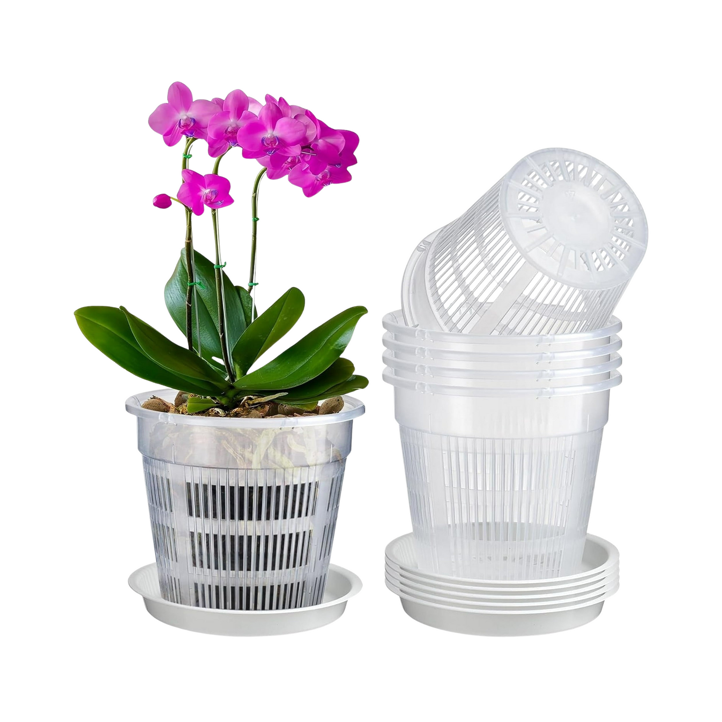 Clear Plastic Orchid Pots with Drainage for Indoor and Outdoor