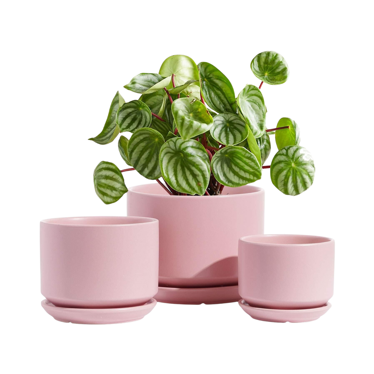 Pink Ceramic Planters Set with Drainage Hole for Home Decor