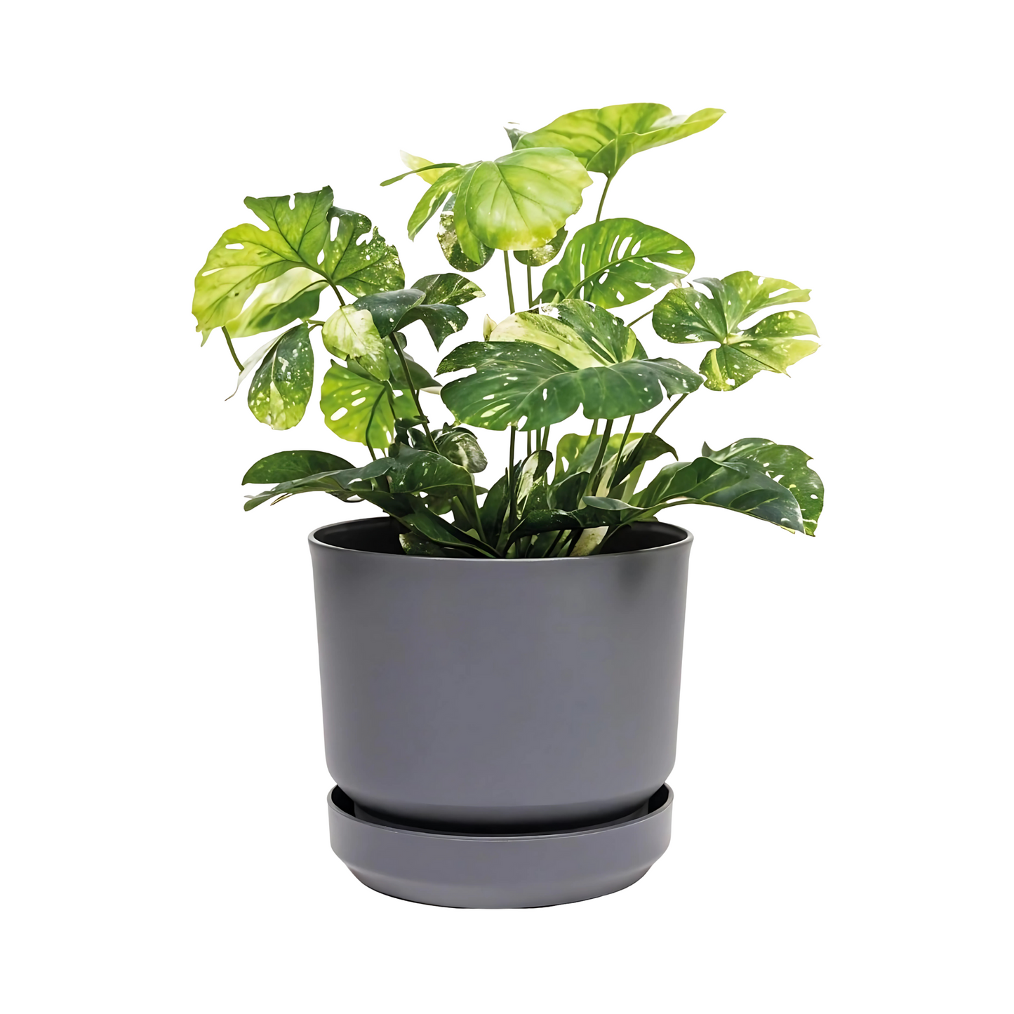 Plastic Cylinder Planter Pot with Self Watering Lightweight Durable Design