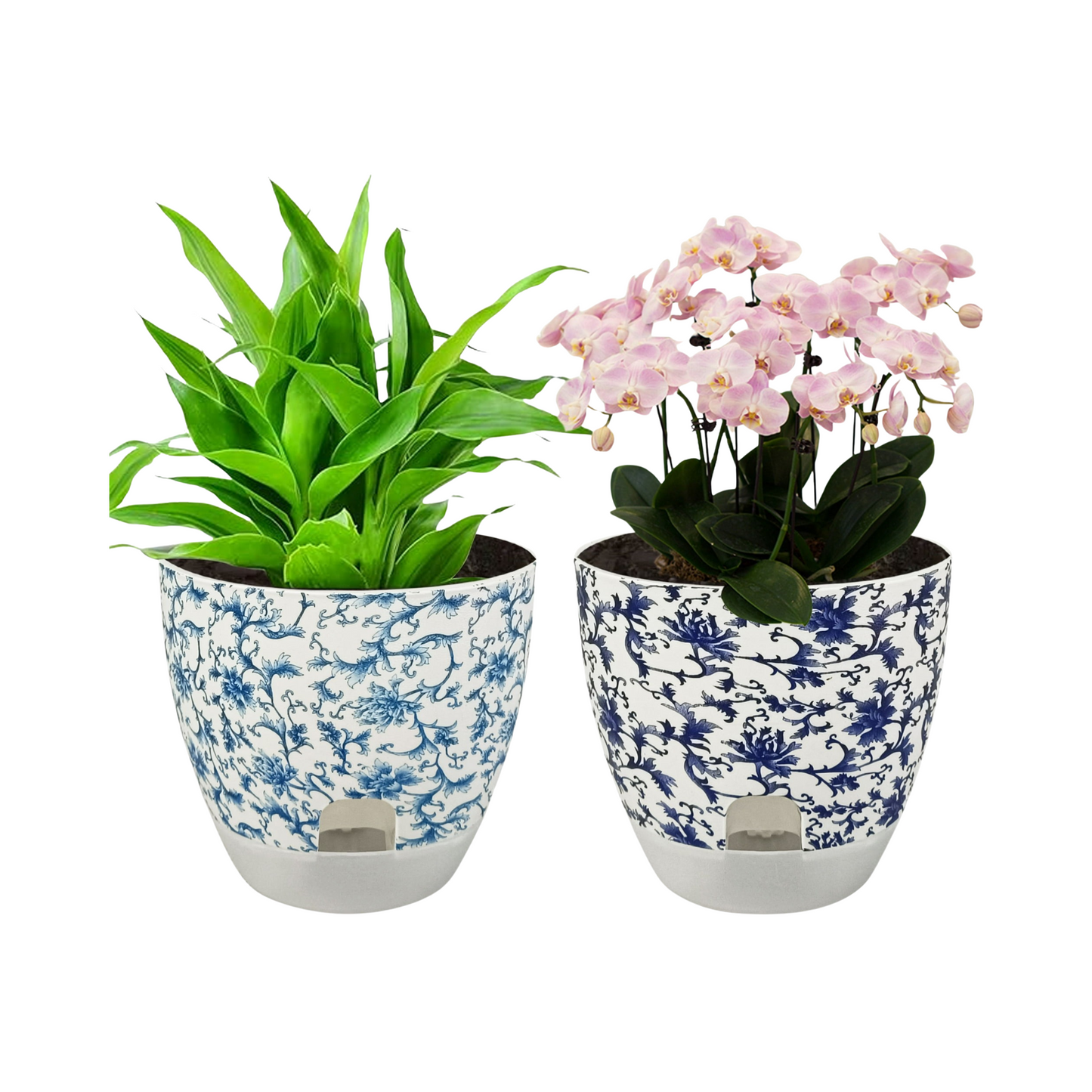 Self Watering Planters with Blue Floral Design for Plants