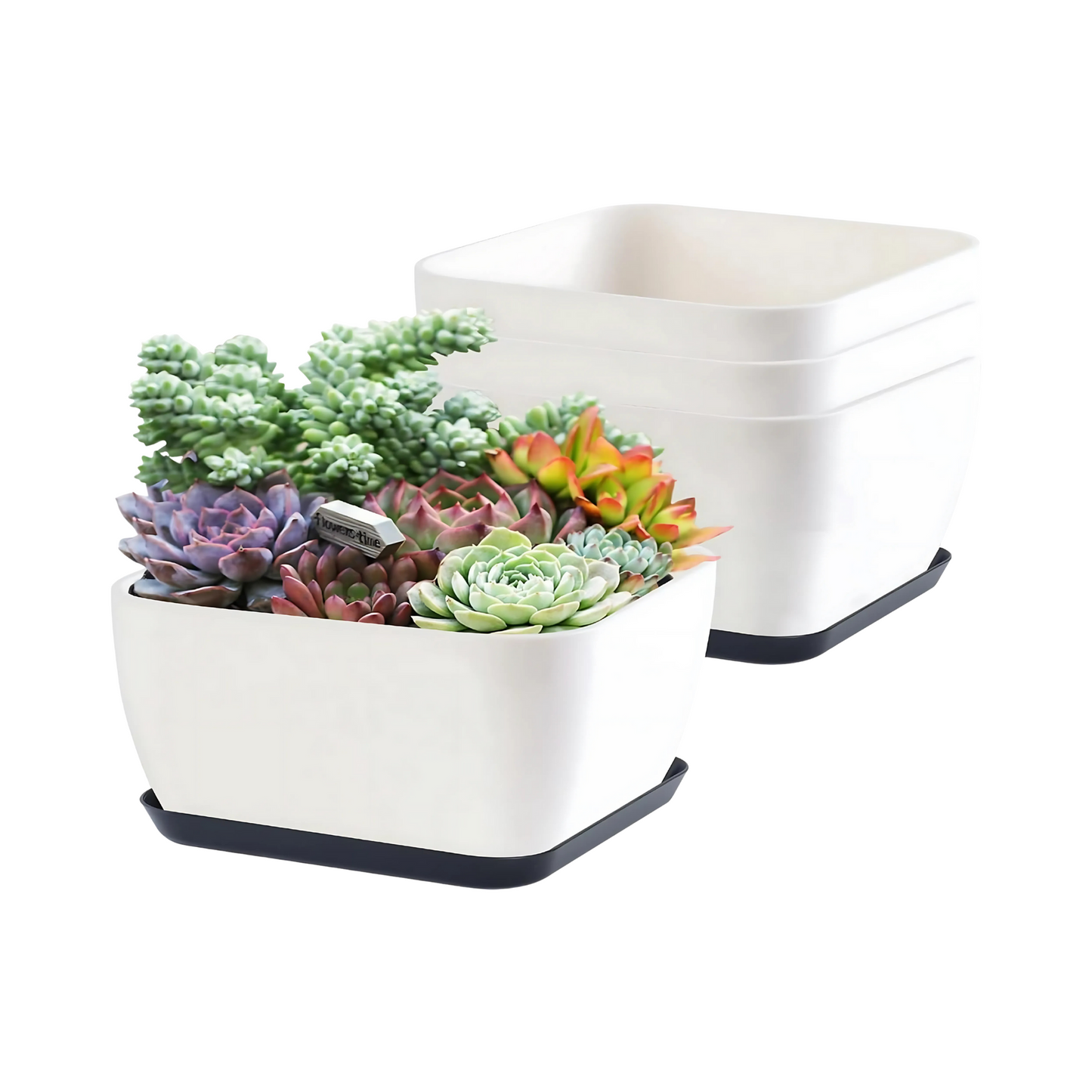 Succulent Planter Pots Square Herb Containers Indoor Outdoor Garden Use