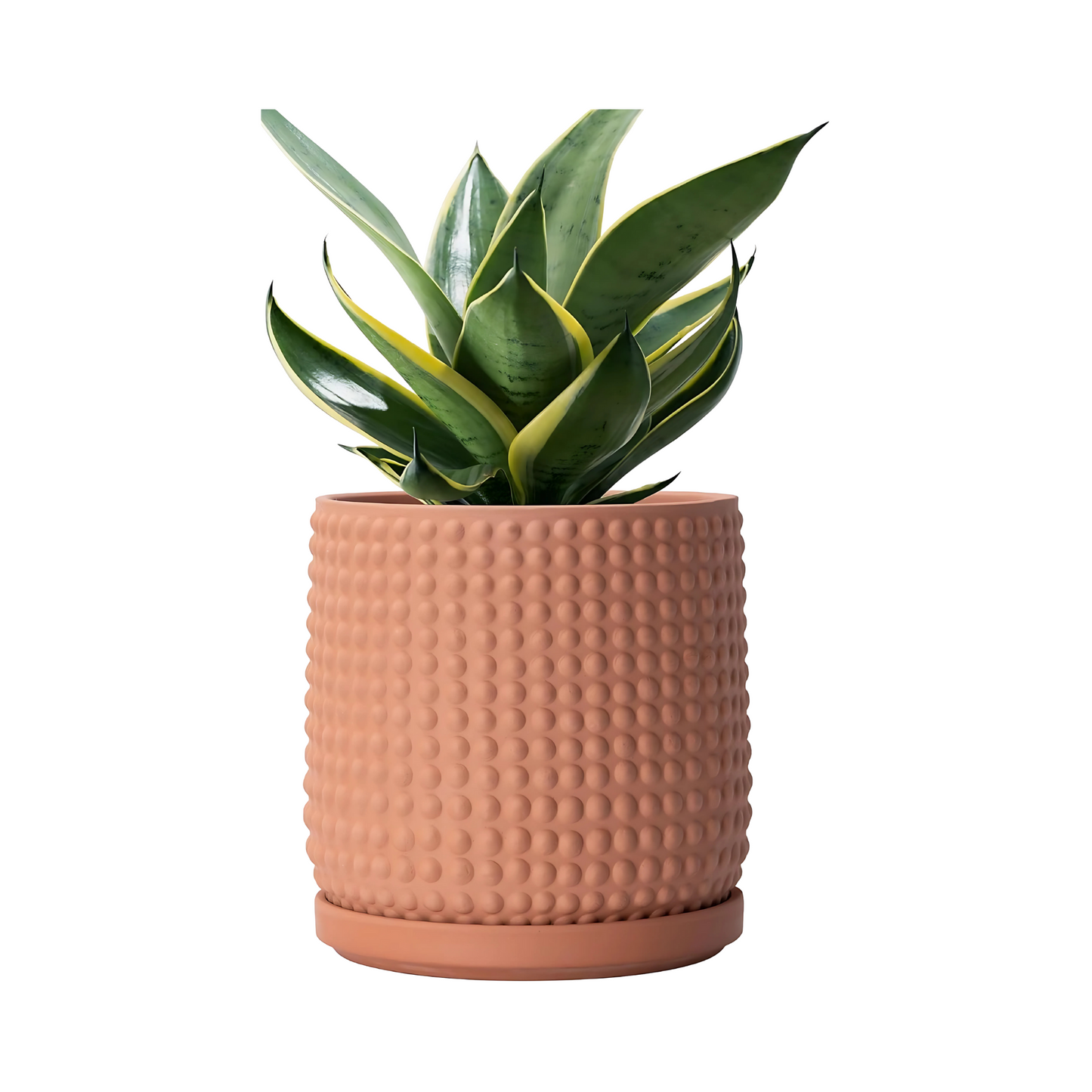 Terracotta Planter Pot with Drainage Hole Modern Indoor Succulent Flower