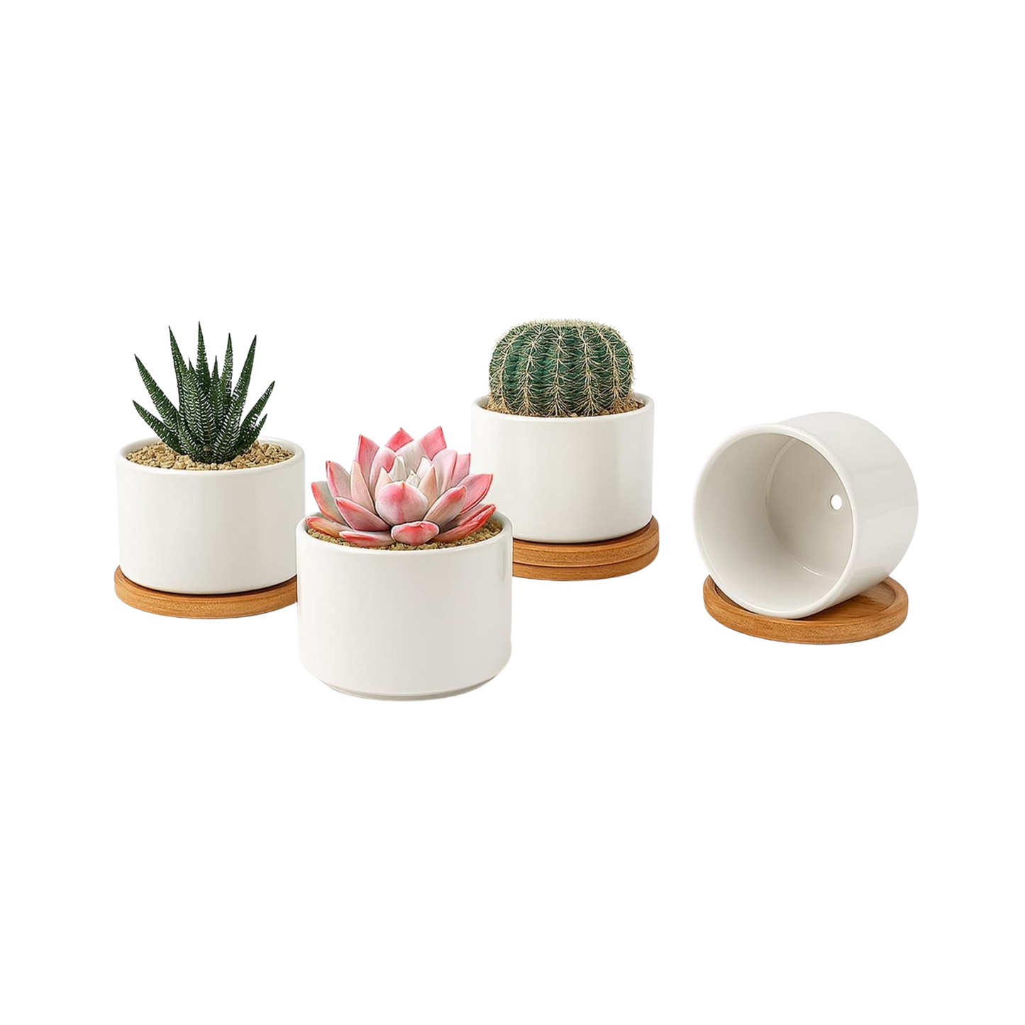 White Ceramic Succulent Pots Indoor Planters with Drainage and Trays