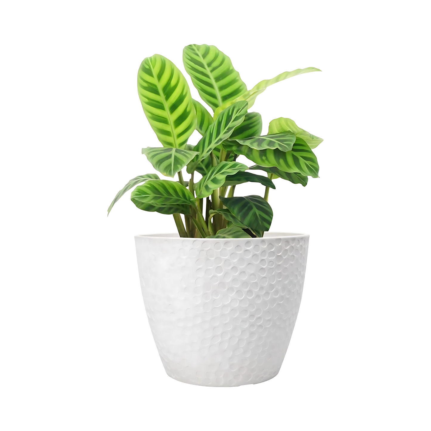 White Planter Pot Modern Outdoor Indoor Durable Weather Resistant Container