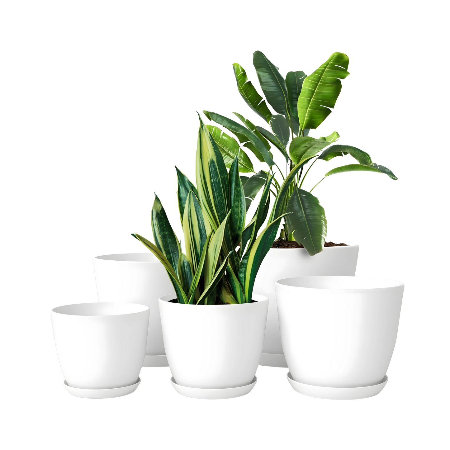 White Plastic Plant Pots with Drainage Tray for Indoor Outdoor